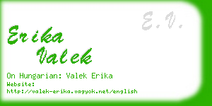 erika valek business card